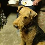 6379a220-0d31-4739-9b1e-1f9f7c30fa84