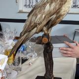 So geht Schrottwichteln