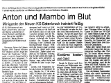 Artikel über die Minis 2001